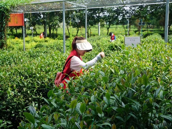 beats365官网 网页版