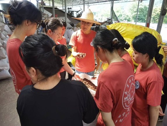 beats365官网 网页版