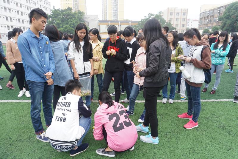 beats365官网 网页版