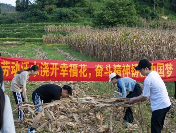 beats365官网 网页版