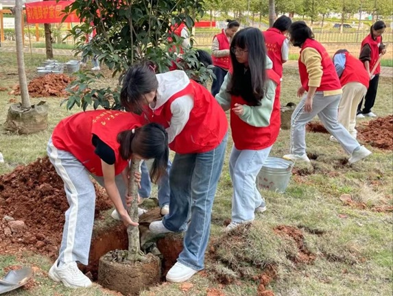 beats365官网 网页版