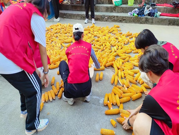 beats365官网 网页版